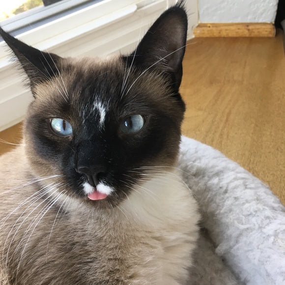 Meet your Posher, Heather - Picture 1 of 1